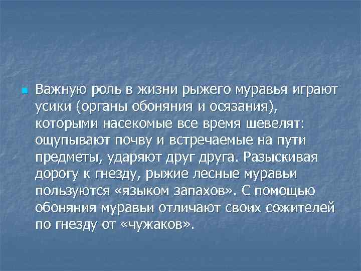 n Важную роль в жизни рыжего муравья играют усики (органы обоняния и осязания), которыми