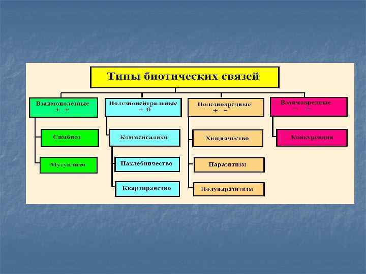 Биотические отношения схема