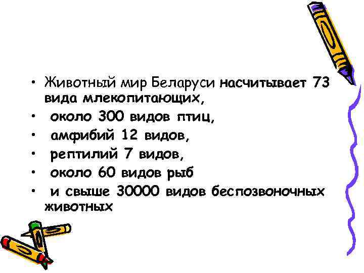  • Животный мир Беларуси насчитывает 73 вида млекопитающих, • около 300 видов птиц,