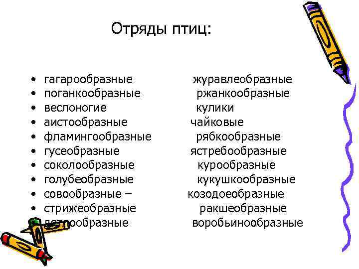 Отряды птиц: • • • гагарообразные поганкообразные веслоногие аистообразные фламингообразные гусеобразные соколообразные голубеобразные совообразные