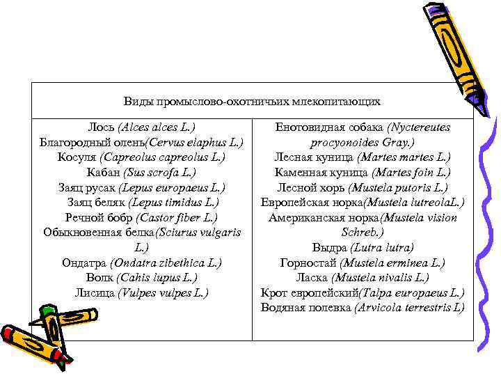 Виды промыслово-охотничьих млекопитающих Лось (Alces alces L. ) Благородный олень(Cervus elaphus L. ) Косуля