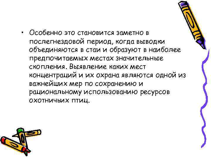  • Особенно это становится заметно в послегнездовой период, когда выводки объединяются в стаи