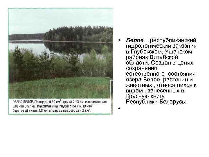  • Белое – республиканский гидрологический заказник в Глубокском, Ушачском районах Витебской области. Создан