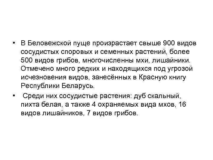  • В Беловежской пуще произрастает свыше 900 видов сосудистых споровых и семенных растений,