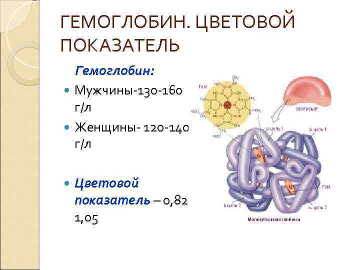 ГЕМОГЛОБИН. ЦВЕТОВОЙ ПОКАЗАТЕЛЬ Гемоглобин: Мужчины-130 -160 г/л Женщины- 120 -140 г/л Цветовой показатель –