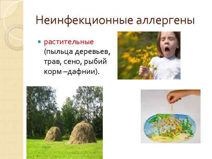 Неинфекционные аллергены растительные (пыльца деревьев, трав, сено, рыбий корм –дафнии). 
