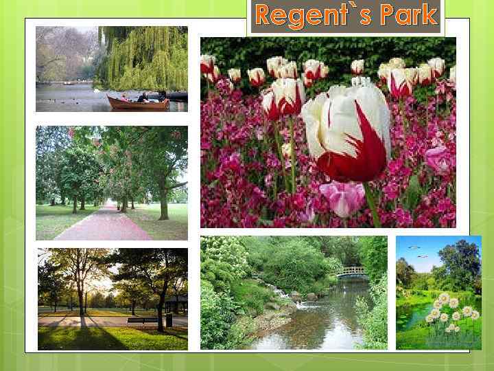 Regent`s Park 