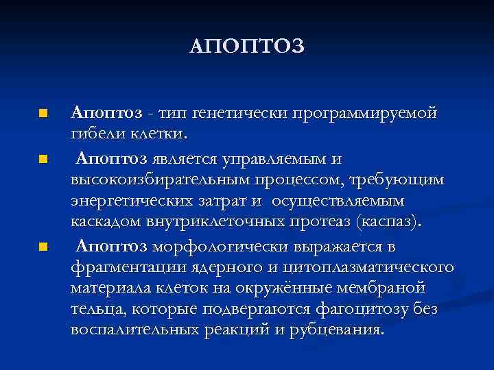 АПОПТОЗ n n n Апоптоз - тип генетически программируемой гибели клетки. Апоптоз является управляемым