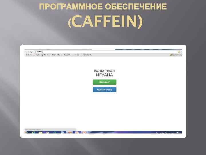 ПРОГРАММНОЕ ОБЕСПЕЧЕНИЕ (CAFFEIN) 