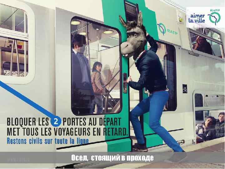 Осел, стоящий в проходе 