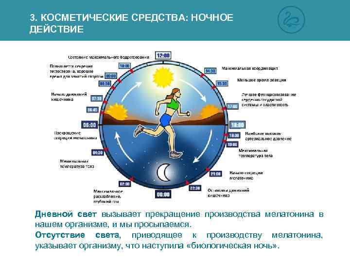 3. КОСМЕТИЧЕСКИЕ СРЕДСТВА: НОЧНОЕ ДЕЙСТВИЕ Дневной свет вызывает прекращение производства мелатонина в нашем организме,