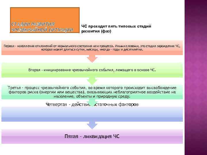 Этапы развития прошла