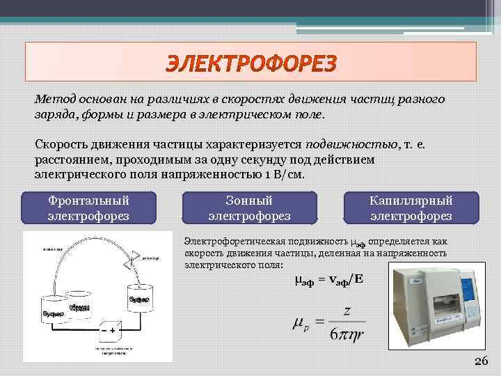 Скорость движения частиц. Методы электрофореза. Электрофоретический эффект торможения. Движение частиц в электрофорезе. Электрофоретические методы исследований.