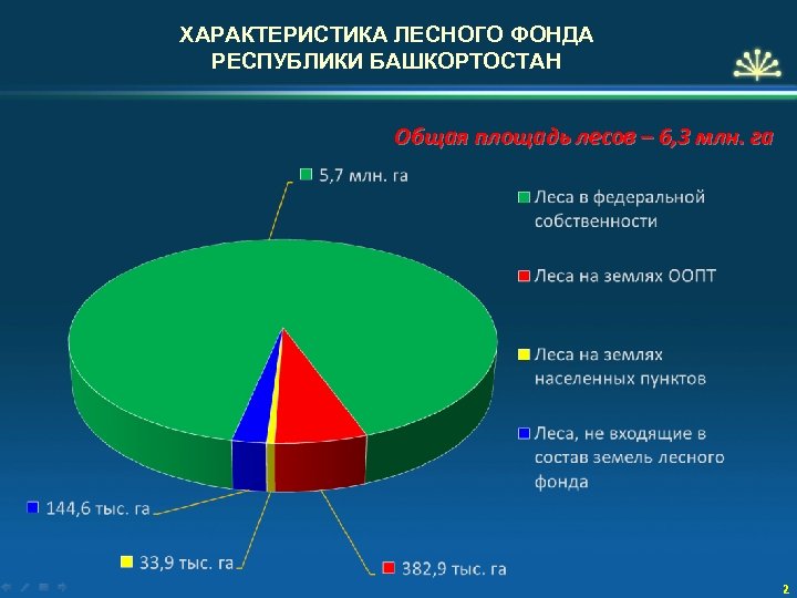 Площадь лесного фонда россии