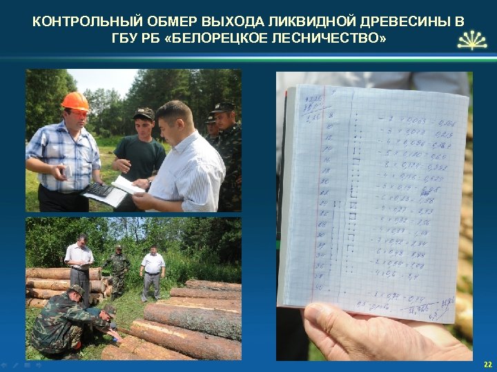 КОНТРОЛЬНЫЙ ОБМЕР ВЫХОДА ЛИКВИДНОЙ ДРЕВЕСИНЫ В ГБУ РБ «БЕЛОРЕЦКОЕ ЛЕСНИЧЕСТВО» 22 