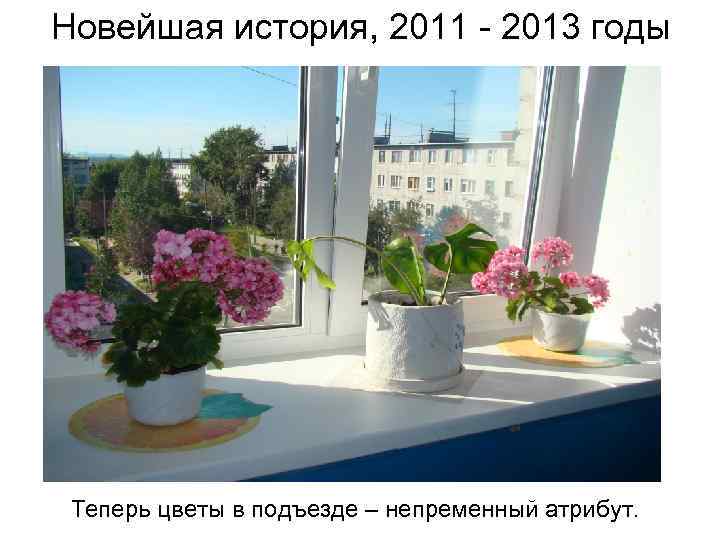 Новейшая история, 2011 - 2013 годы Теперь цветы в подъезде – непременный атрибут. 