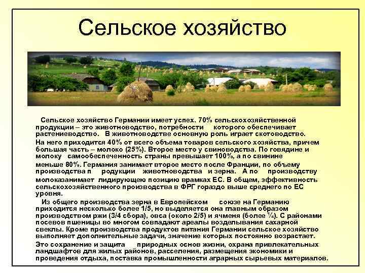 Сельское хозяйство Германии имеет успех. 70% сельскохозяйственной продукции – это животноводство, потребности которого обеспечивает