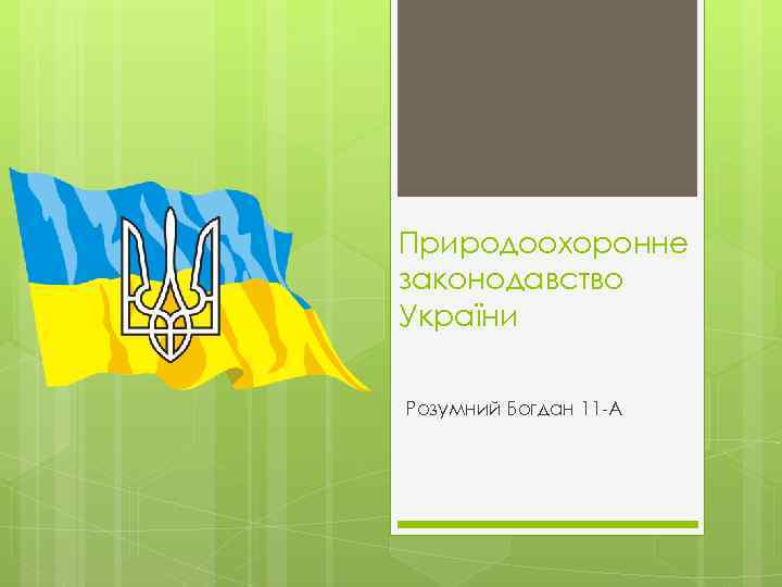 Природоохоронне законодавство України Розумний Богдан 11 -А 