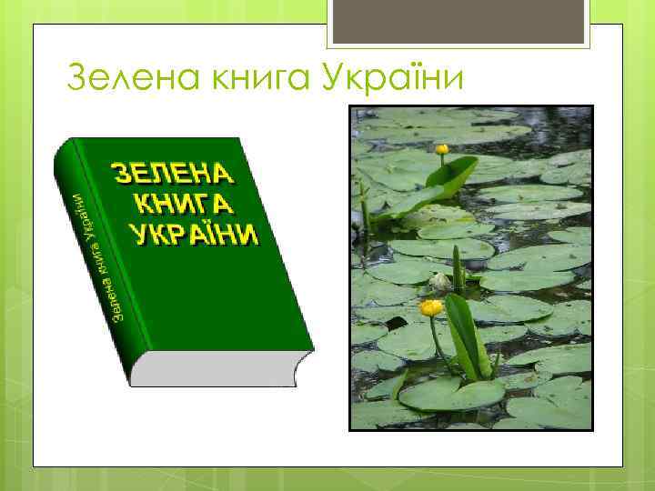 Зелена книга України 