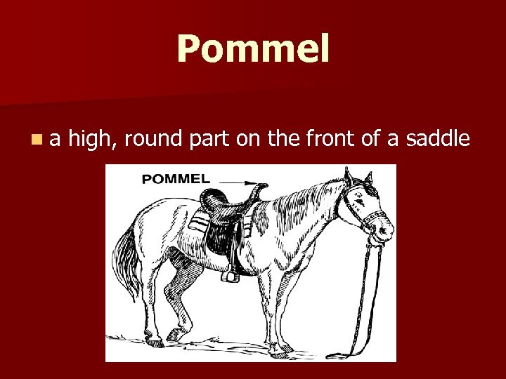 Pommel n a high, round part on the front of a saddle 