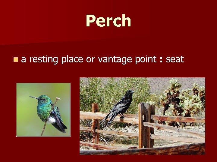 Perch n a resting place or vantage point : seat 