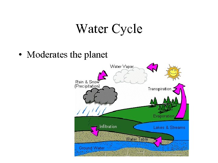 Water Cycle • Moderates the planet 