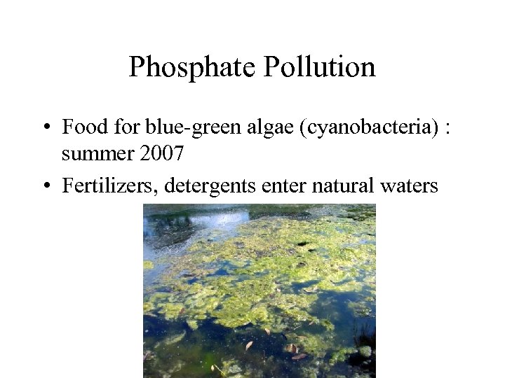 Phosphate Pollution • Food for blue-green algae (cyanobacteria) : summer 2007 • Fertilizers, detergents