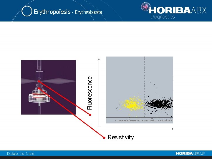 Fluorescence Erythropoïesis - Erythroblasts Resistivity 