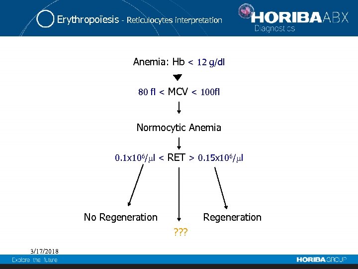 Erythropoïesis - Reticulocytes interpretation Anemia: Hb < 12 g/dl 80 fl < MCV <