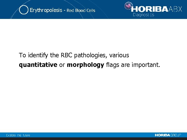 Erythropoïesis - Red Blood Cells To identify the RBC pathologies, various quantitative or morphology