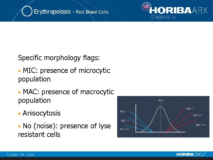 Erythropoïesis - Red Blood Cells Specific morphology flags: MIC: presence of microcytic population •