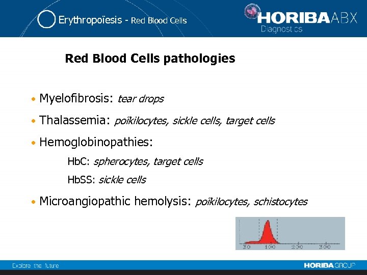 Erythropoïesis - Red Blood Cells pathologies • Myelofibrosis: tear drops • Thalassemia: poïkilocytes, sickle