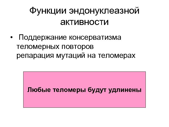 Функции эндонуклеазной активности • Поддержание консерватизма теломерных повторов репарация мутаций на теломерах Любые теломеры