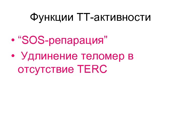 Функции ТТ-активности • “SOS-репарация” • Удлинение теломер в отсутствие ТЕRC 