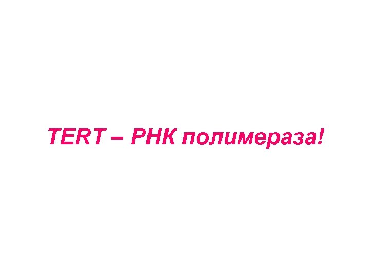 TERT – РНК полимераза! 