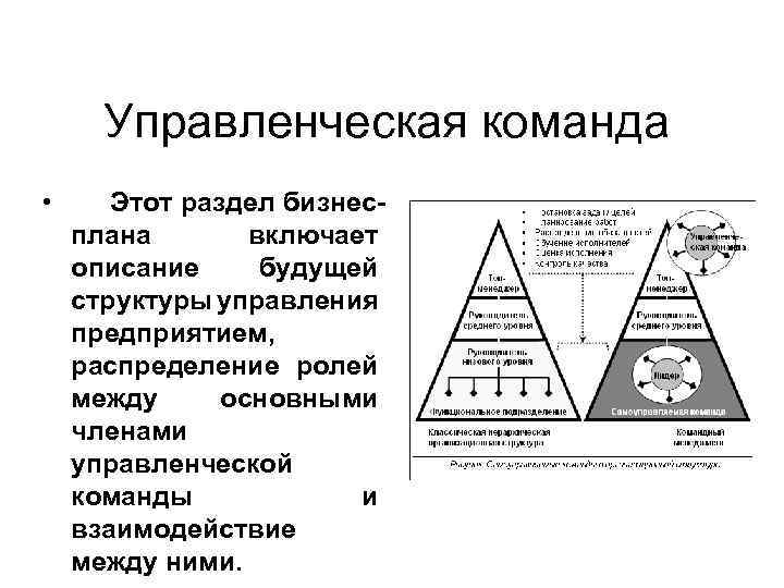 Управленческая команда • Этот раздел бизнес плана включает описание будущей структуры управления предприятием, распределение