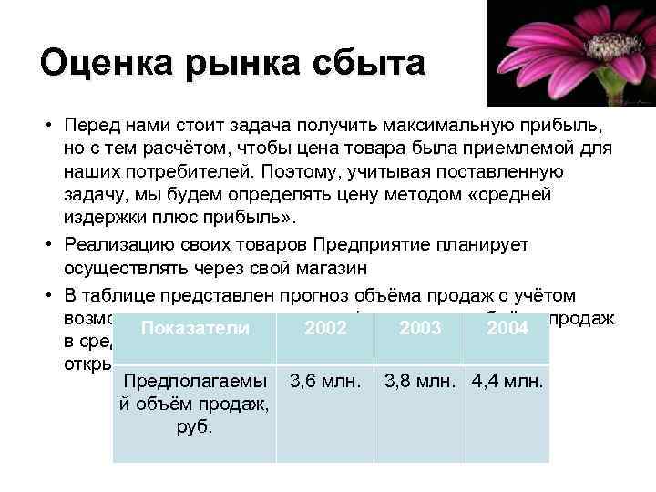 Характеристика рынка бизнес план