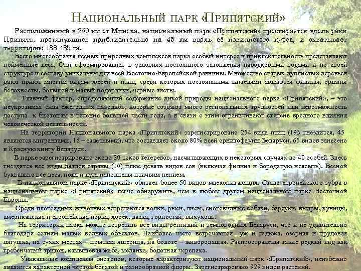 НАЦИОНАЛЬНЫЙ ПАРК « РИПЯТСКИЙ» П Расположенный в 250 км от Минска, национальный парк «Припятский»