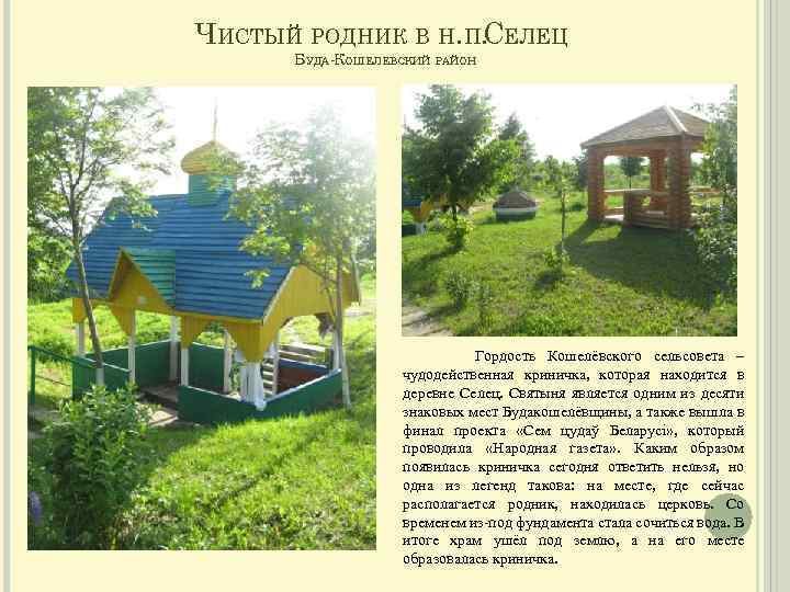 ЧИСТЫЙ РОДНИК В Н. П. ЕЛЕЦ С БУДА-КОШЕЛЕВСКИЙ РАЙОН Гордость Кошелёвского сельсовета – чудодейственная