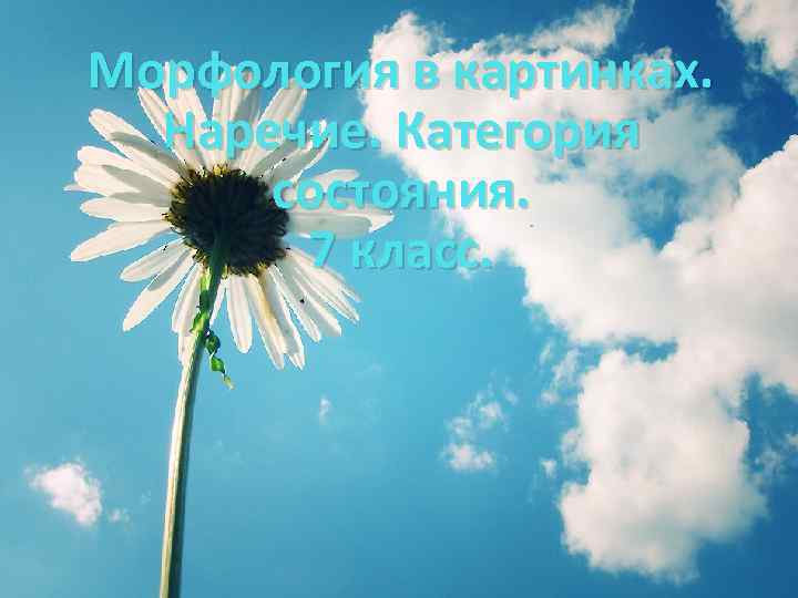 Морфология в картинках. Наречие. Категория состояния. 7 класс. 