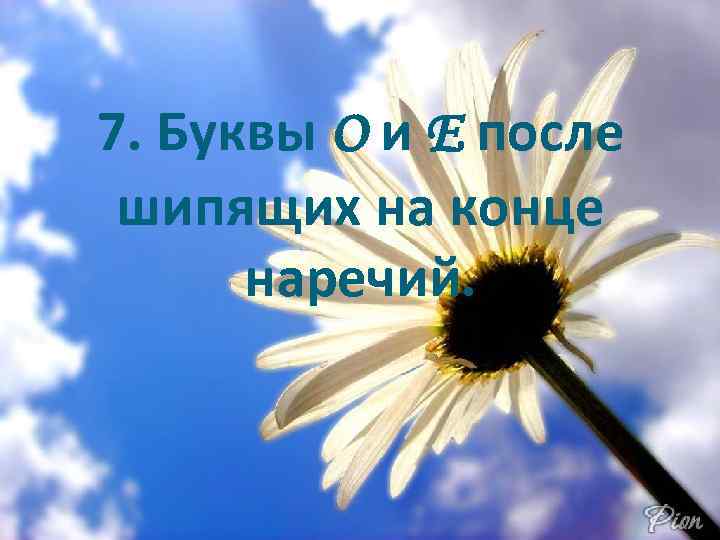 7. Буквы О и Е после шипящих на конце наречий. 