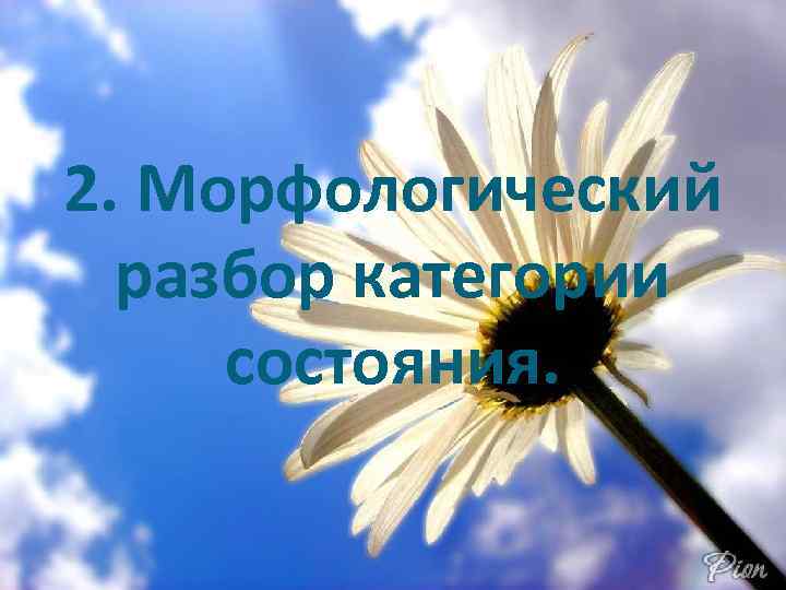 2. Морфологический разбор категории состояния. 
