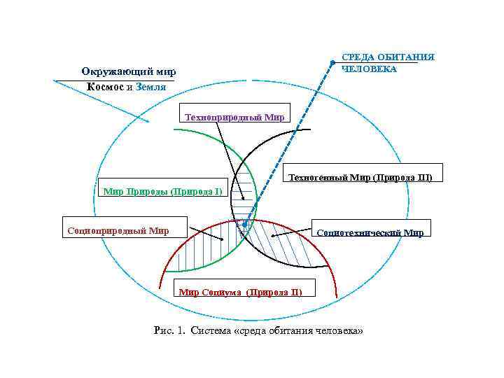 Модель политического мироустройства. Схема мироустройства. Социальная модель мироустройства это. Социоприродная среда схема. Заполнить схему среда обитания человека.