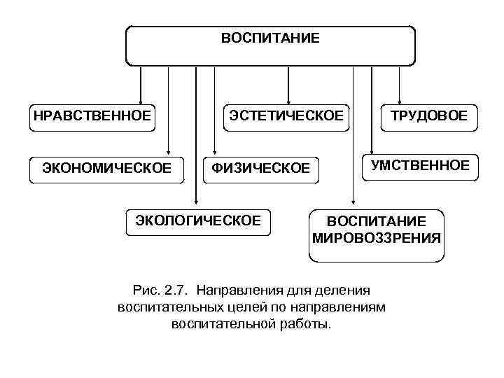 ВОСПИТАНИЕ НРАВСТВЕННОЕ ЭКОНОМИЧЕСКОЕ ЭСТЕТИЧЕСКОЕ ФИЗИЧЕСКОЕ ЭКОЛОГИЧЕСКОЕ ТРУДОВОЕ УМСТВЕННОЕ ВОСПИТАНИЕ МИРОВОЗЗРЕНИЯ Рис. 2. 7. Направления