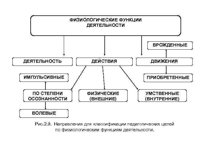 ФИЗИОЛОГИЧЕСКИЕ ФУНКЦИИ ДЕЯТЕЛЬНОСТИ ВРОЖДЕННЫЕ ДЕЯТЕЛЬНОСТЬ ДЕЙСТВИЯ ИМПУЛЬСИВНЫЕ ПО СТЕПЕНИ ОСОЗНАННОСТИ ДВИЖЕНИЯ ПРИОБРЕТЕННЫЕ ФИЗИЧЕСКИЕ (ВНЕШНИЕ)