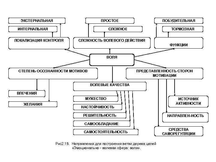 ЭКСТЕРНАЛЬНАЯ ПРОСТОЕ ИНТЕРНАЛЬНАЯ ПОБУДИТЕЛЬНАЯ СЛОЖНОЕ ЛОКАЛИЗАЦИЯ КОНТРОЛЯ ТОРМОЗНАЯ СЛОЖНОСТЬ ВОЛЕВОГО ДЕЙСТВИЯ ФУНКЦИИ ВОЛЯ СТЕПЕНЬ