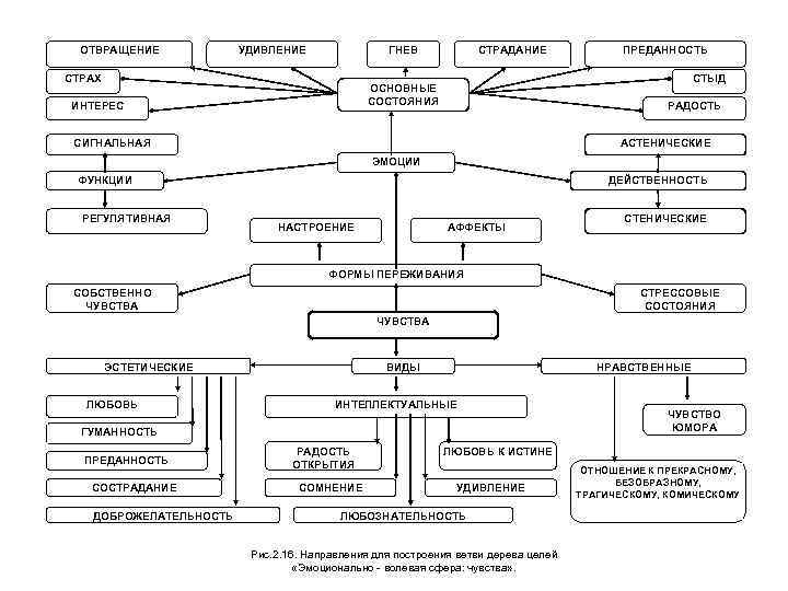 ОТВРАЩЕНИЕ УДИВЛЕНИЕ ГНЕВ СТРАХ СТРАДАНИЕ СТЫД ОСНОВНЫЕ СОСТОЯНИЯ ИНТЕРЕС ПРЕДАННОСТЬ РАДОСТЬ СИГНАЛЬНАЯ АСТЕНИЧЕСКИЕ ЭМОЦИИ