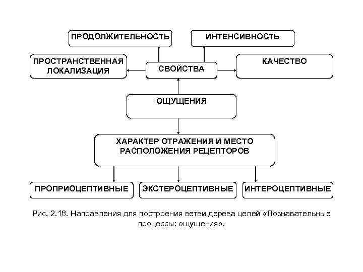 Свойства ощущений качество интенсивность