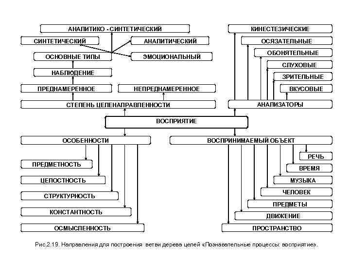 АНАЛИТИКО - СИНТЕТИЧЕСКИЙ ОСНОВНЫЕ ТИПЫ АНАЛИТИЧЕСКИЙ ЭМОЦИОНАЛЬНЫЙ КИНЕСТЕЗИЧЕСКИЕ ОСЯЗАТЕЛЬНЫЕ ОБОНЯТЕЛЬНЫЕ СЛУХОВЫЕ НАБЛЮДЕНИЕ ПРЕДНАМЕРЕННОЕ ЗРИТЕЛЬНЫЕ