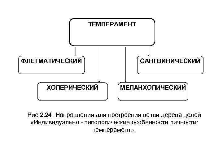 ТЕМПЕРАМЕНТ ФЛЕГМАТИЧЕСКИЙ ХОЛЕРИЧЕСКИЙ САНГВИНИЧЕСКИЙ МЕЛАНХОЛИЧЕСКИЙ Рис. 2. 24. Направления для построения ветви дерева целей